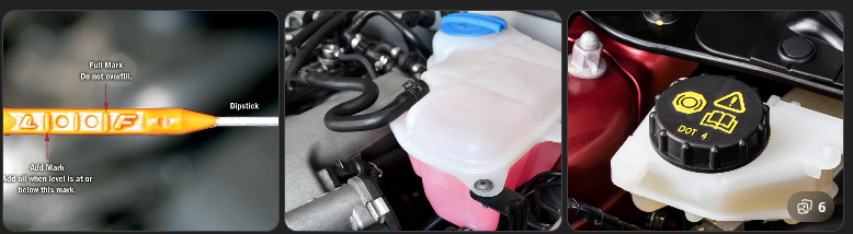 The Essential Car Fluids Most Drivers Rely on Every Day (And Rarely Think About)
